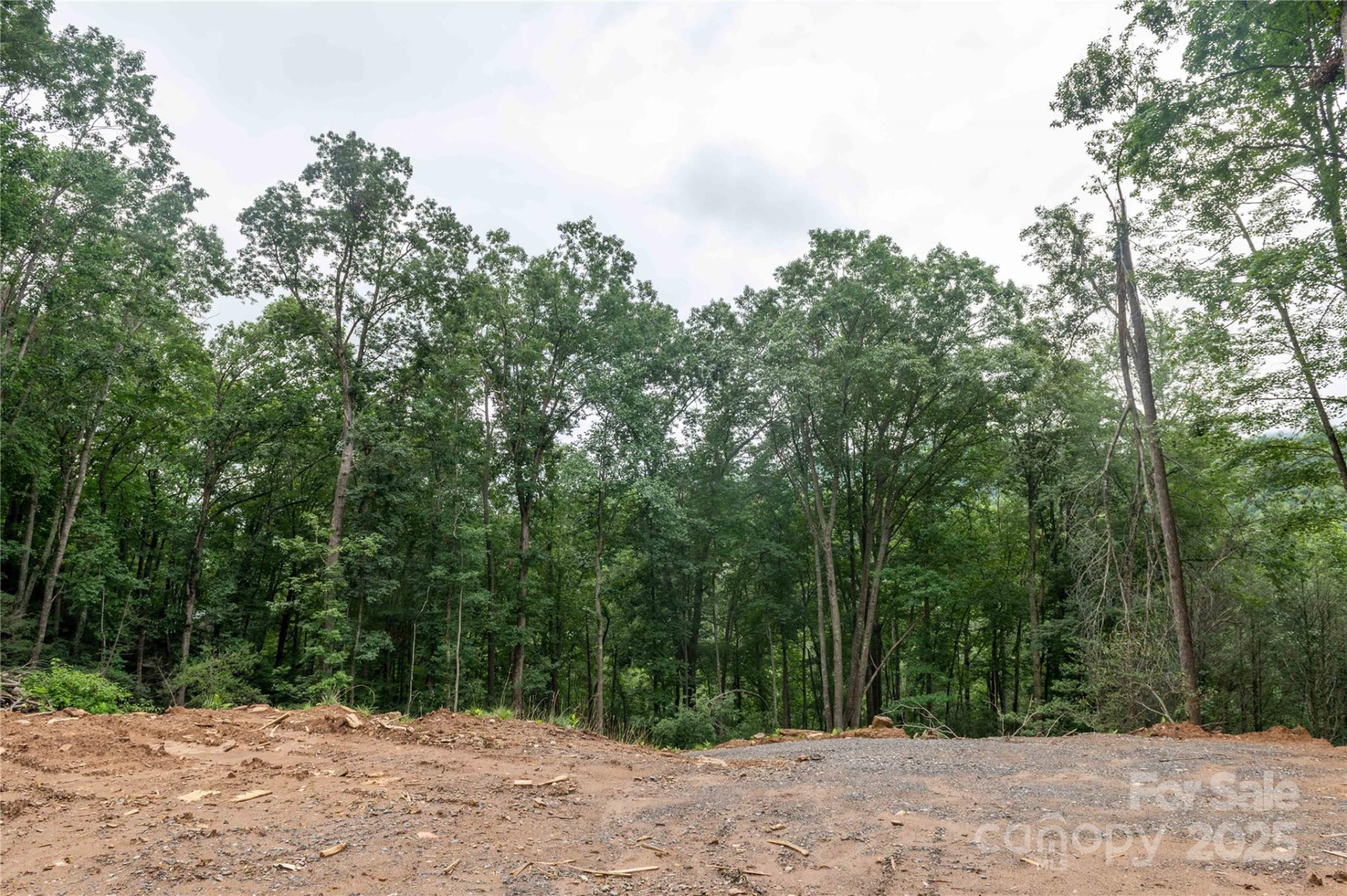 44 Deer Trail Drive - Photo 25