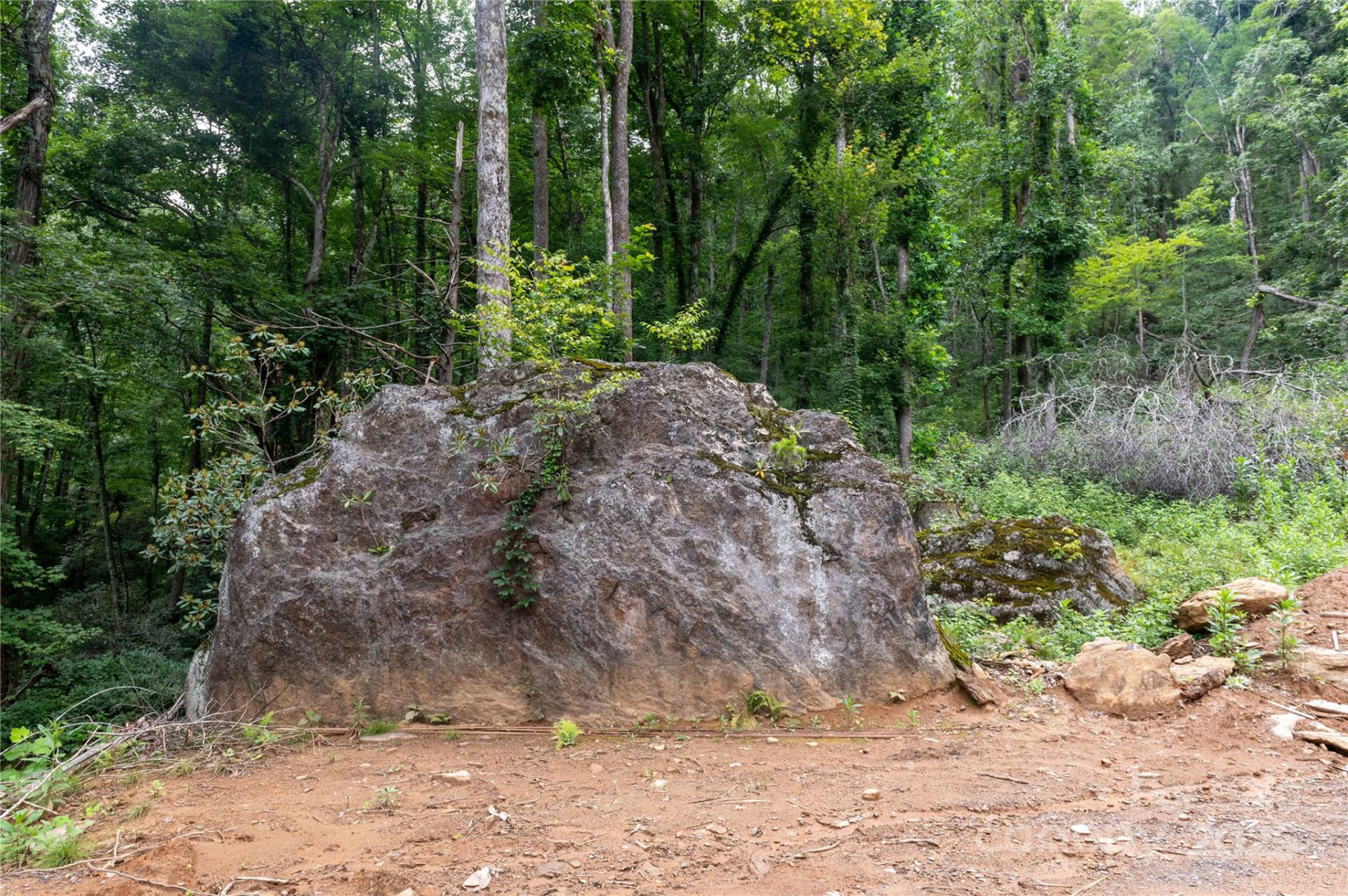 44 Deer Trail Drive - Photo 26