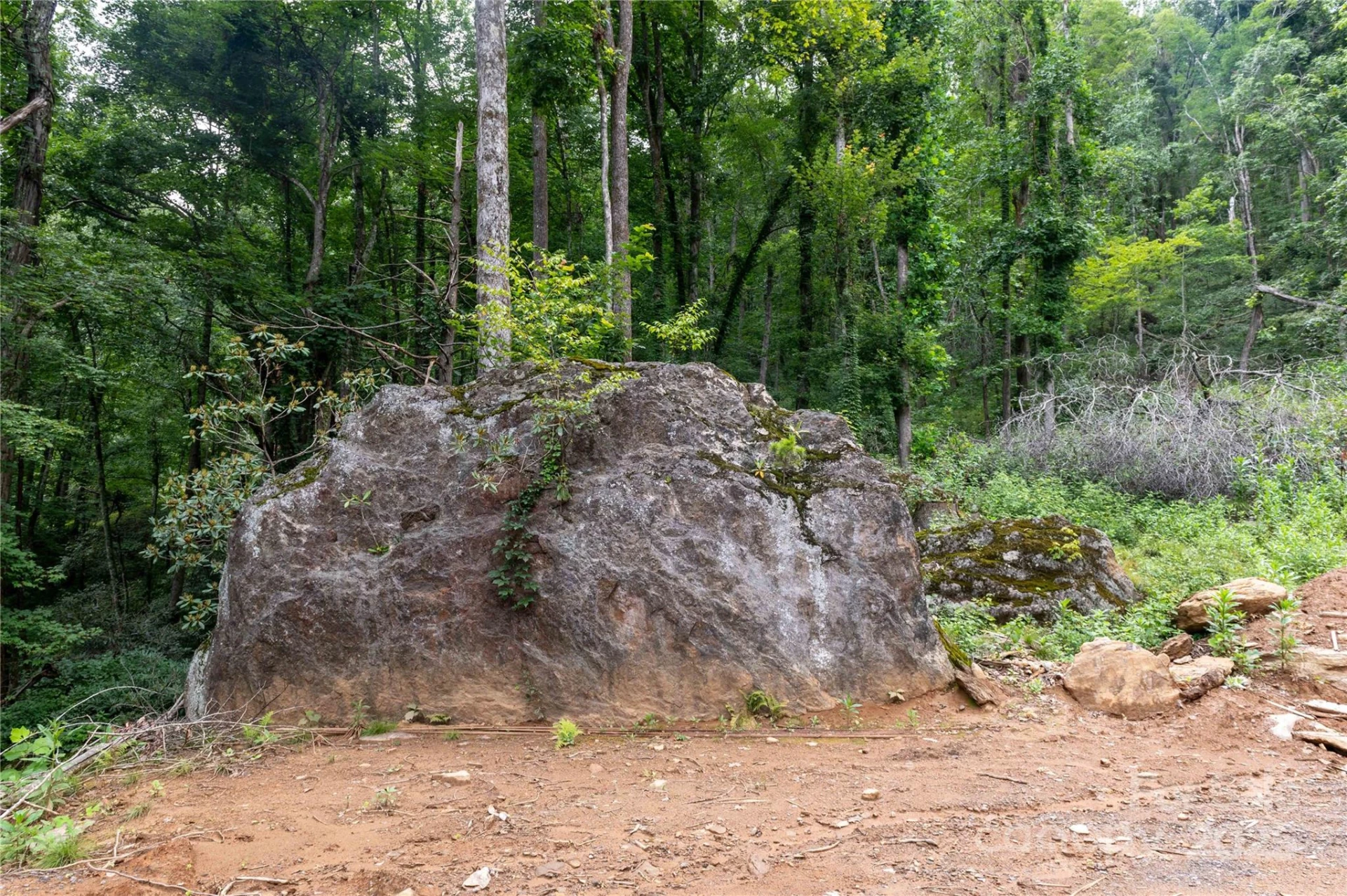 44 Deer Trail Drive - Photo 26