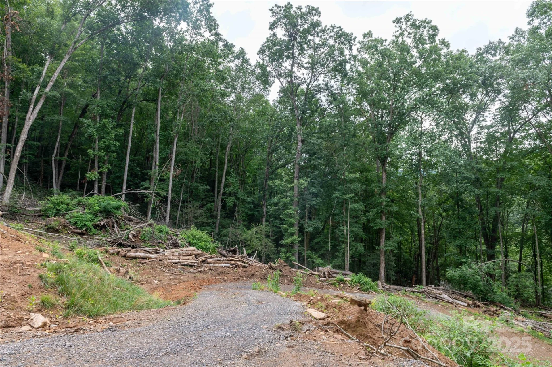 44 Deer Trail Drive - Photo 27
