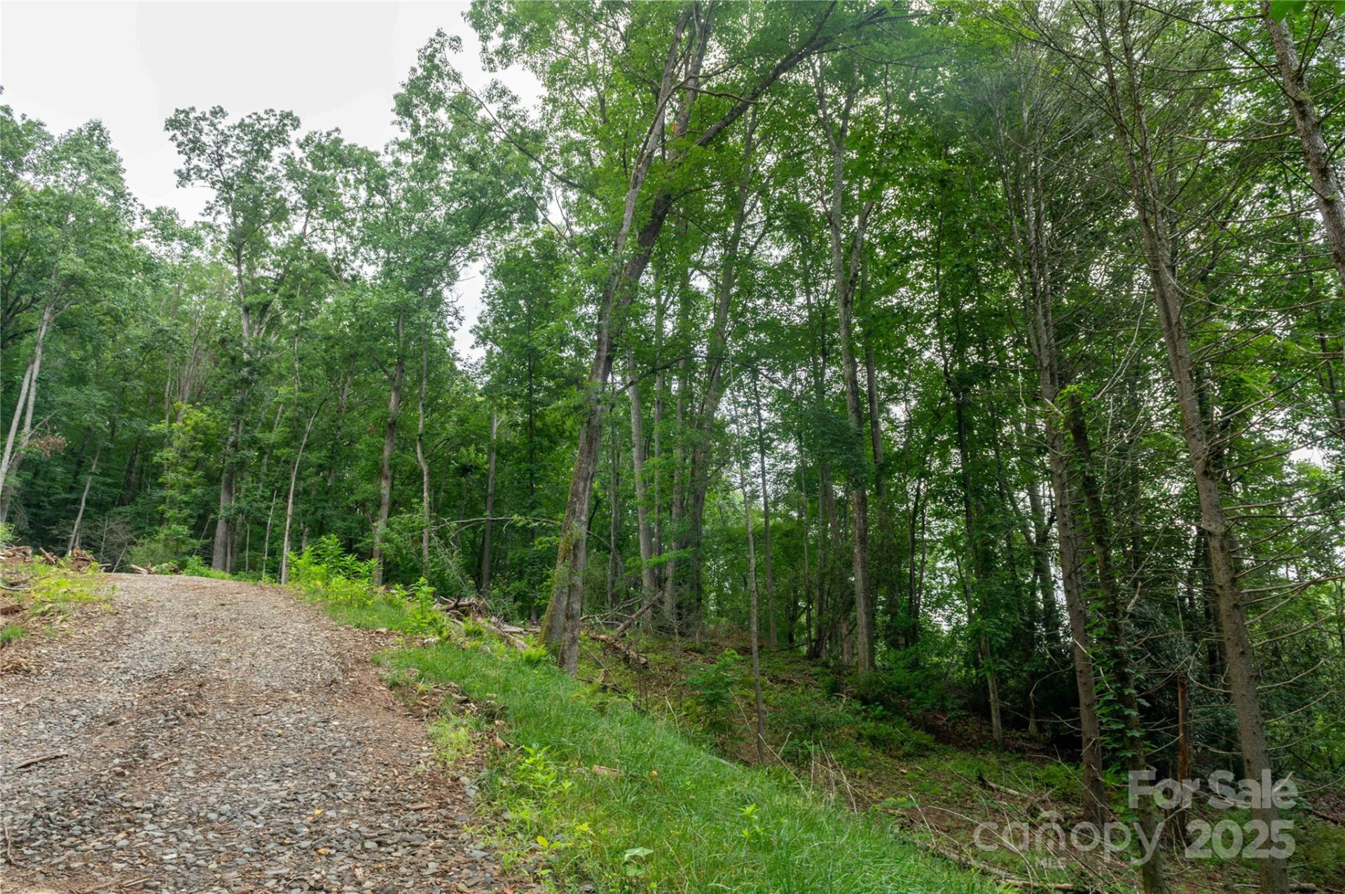 44 Deer Trail Drive - Photo 28