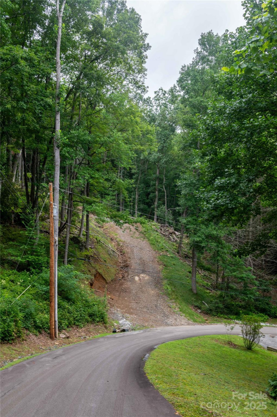 44 Deer Trail Drive - Photo 5