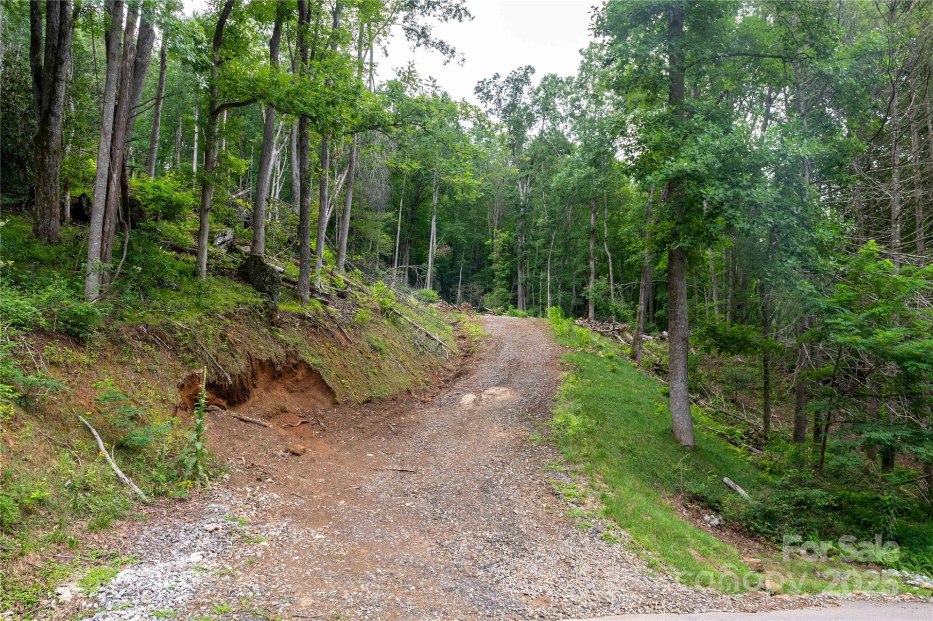 44 Deer Trail Drive - Photo 9