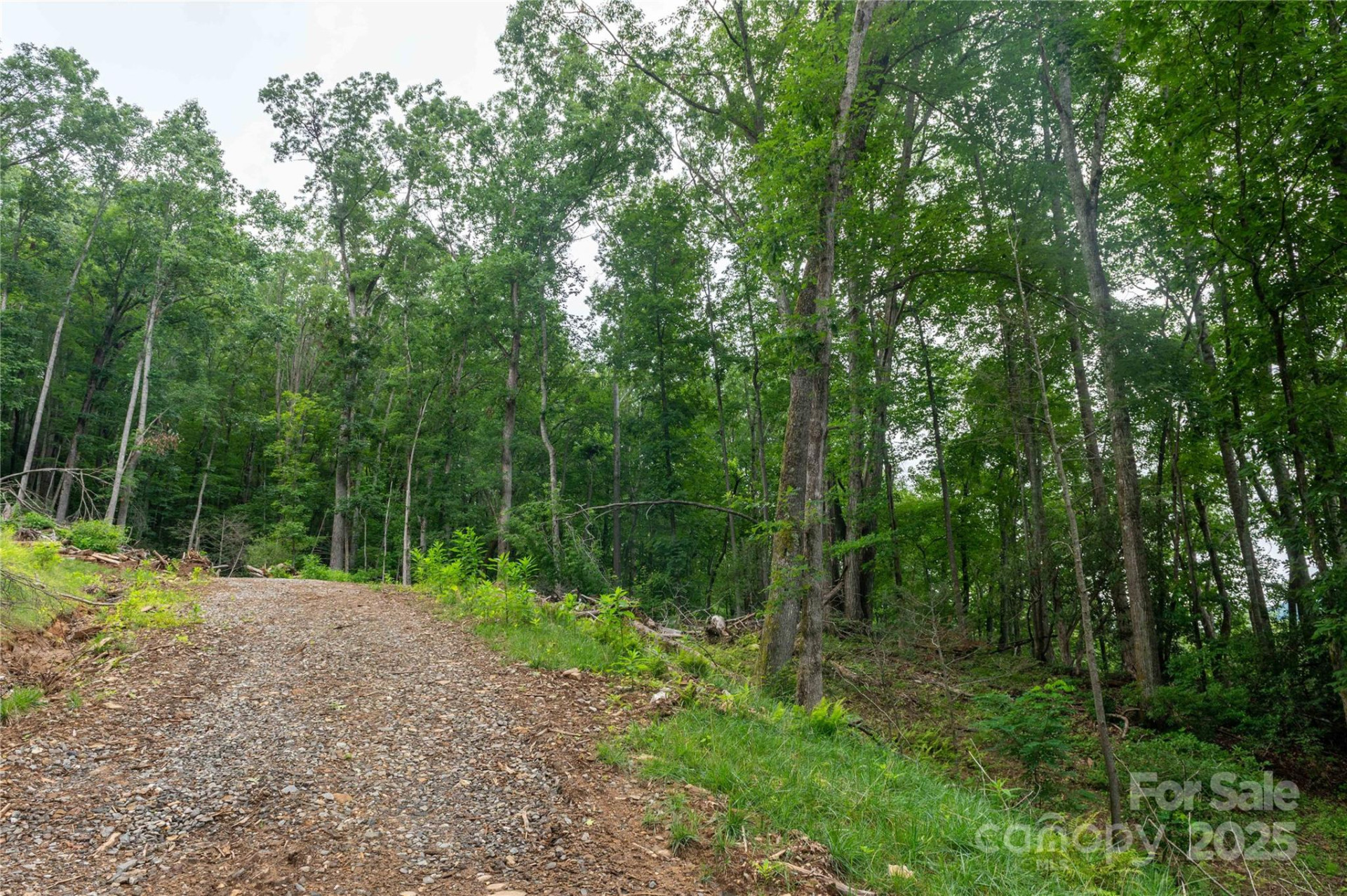 44 Deer Trail Drive - Photo 10