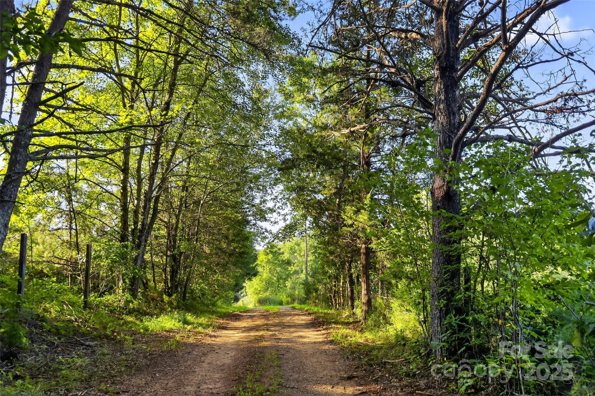 415 Reel Hollow Road - Photo 26