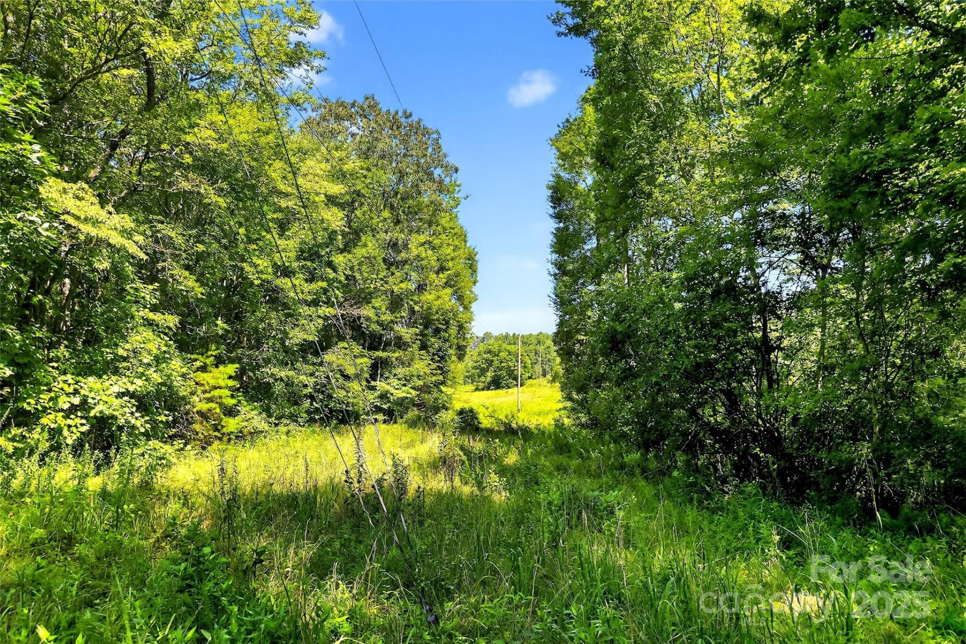 415 Reel Hollow Road - Photo 32