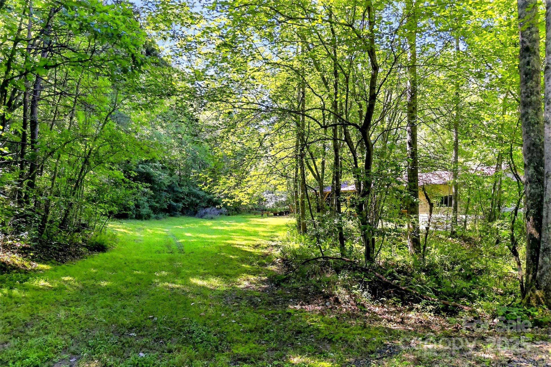 415 Reel Hollow Road - Photo 33