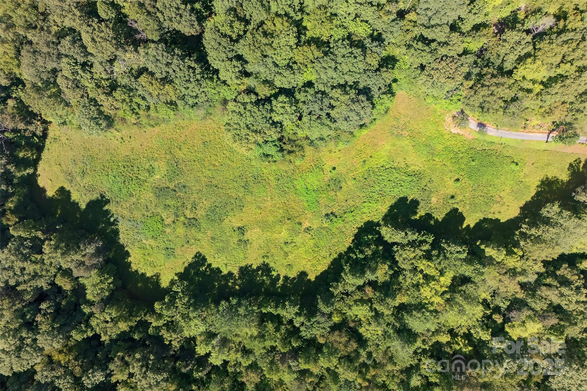 415 Reel Hollow Road - Photo 35