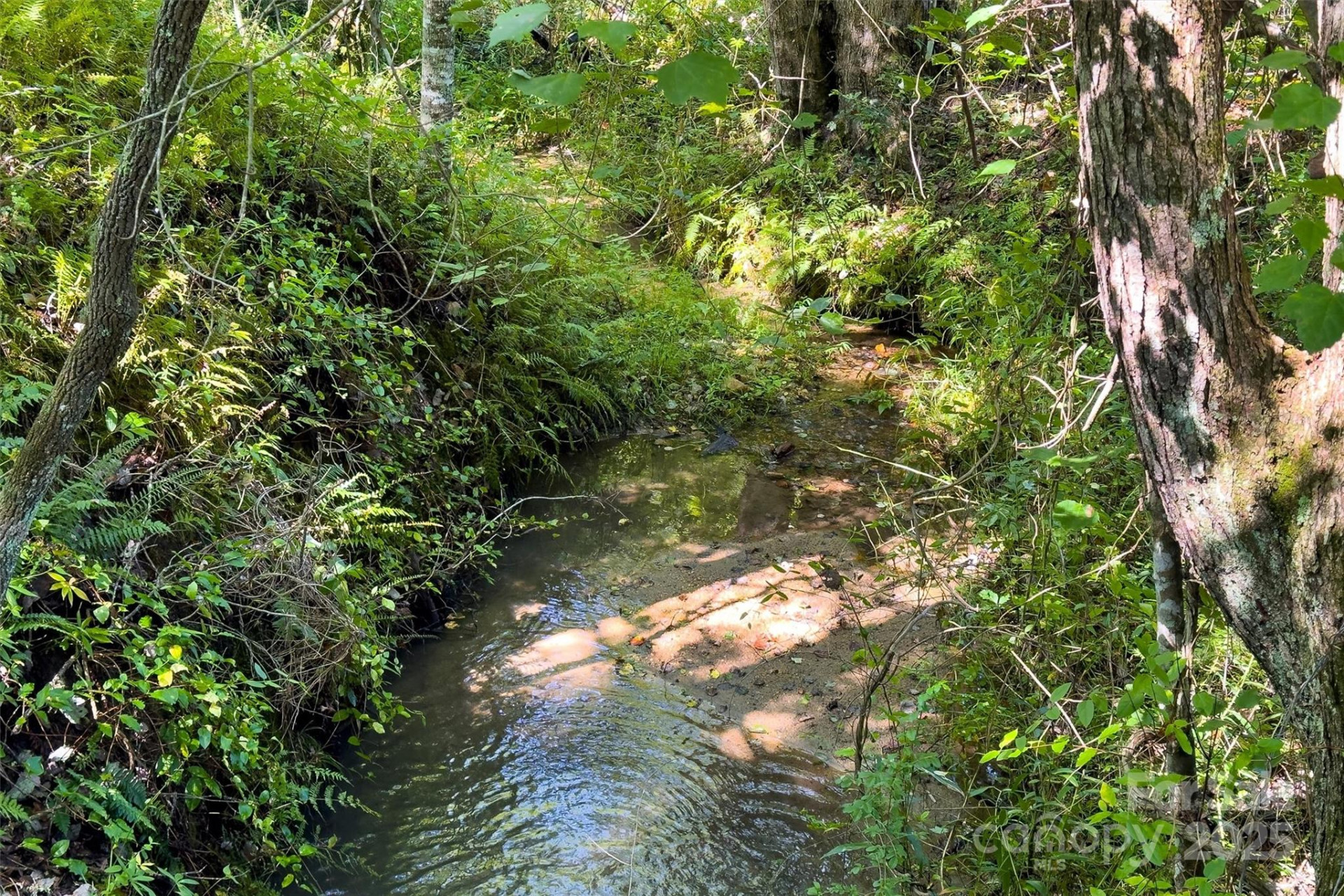 415 Reel Hollow Road - Photo 36