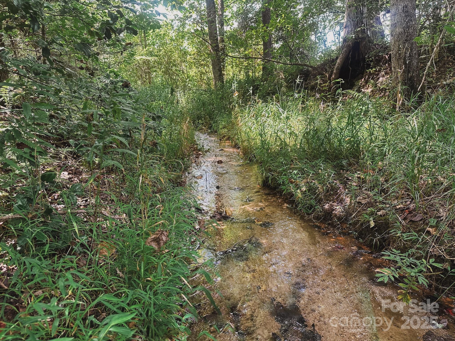 415 Reel Hollow Road - Photo 37