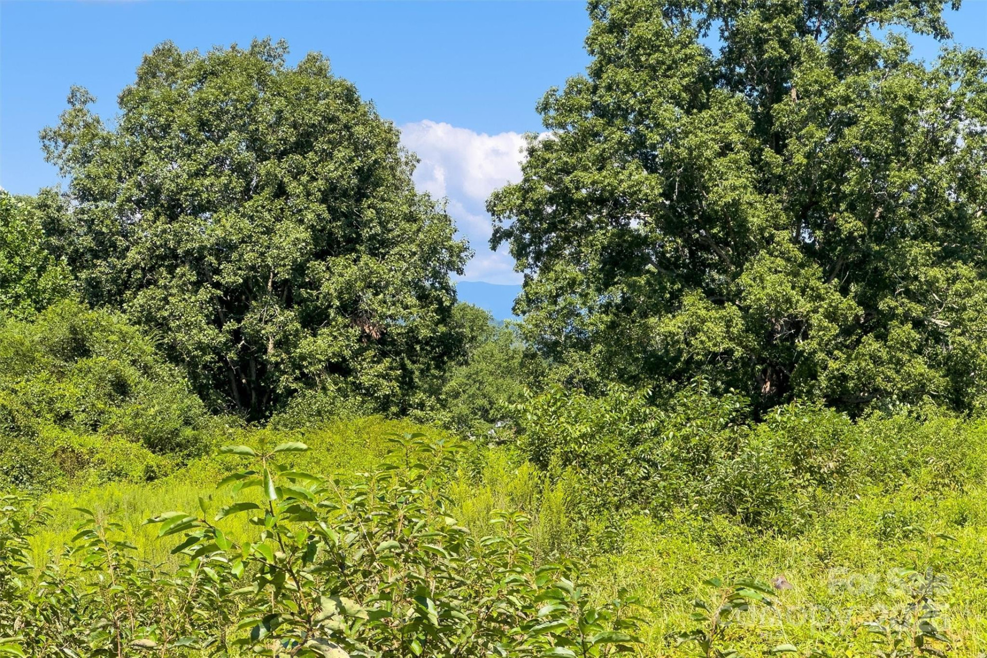 415 Reel Hollow Road - Photo 38