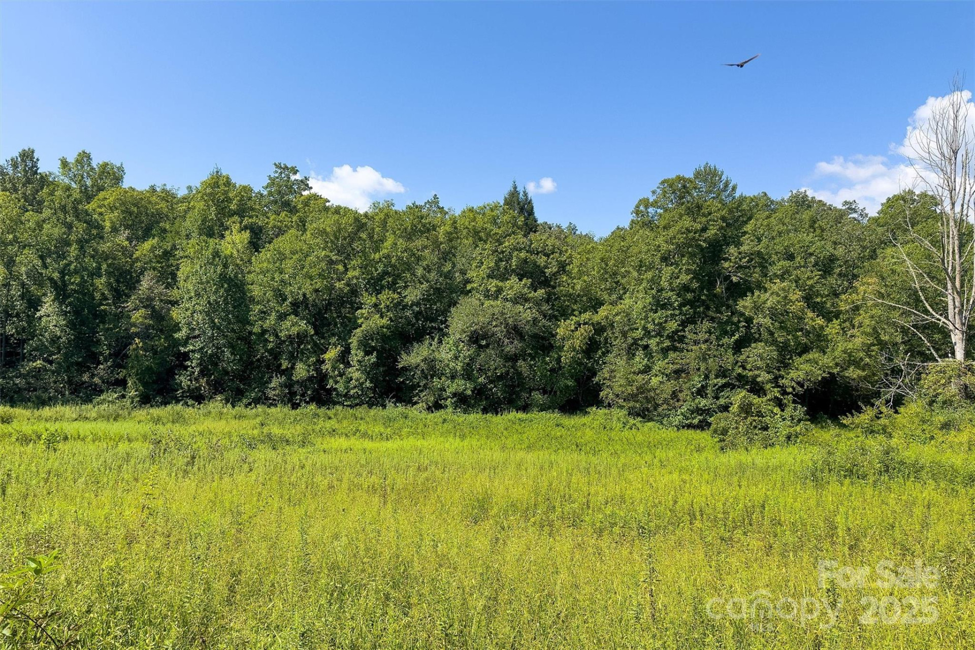415 Reel Hollow Road - Photo 39