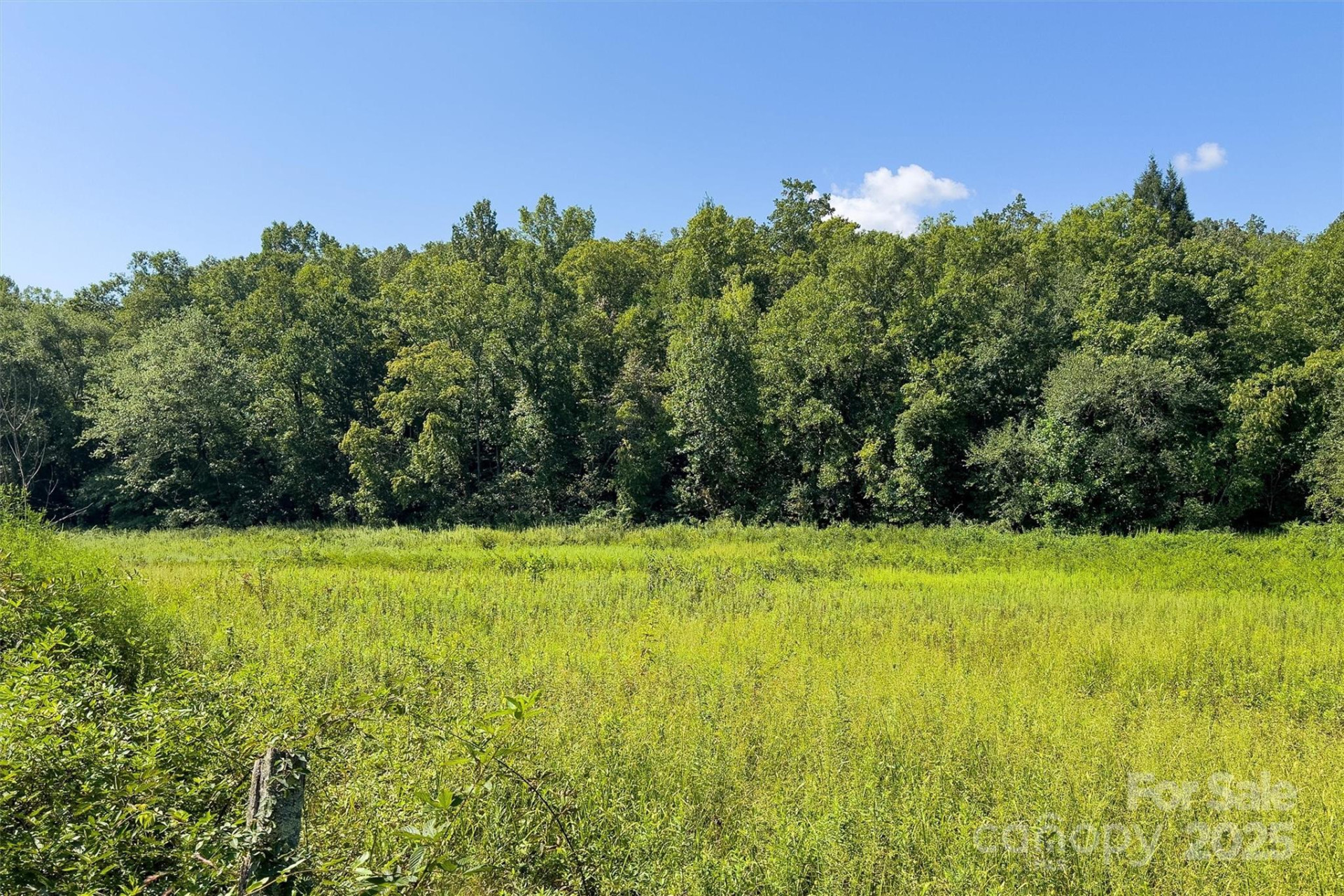 415 Reel Hollow Road - Photo 40