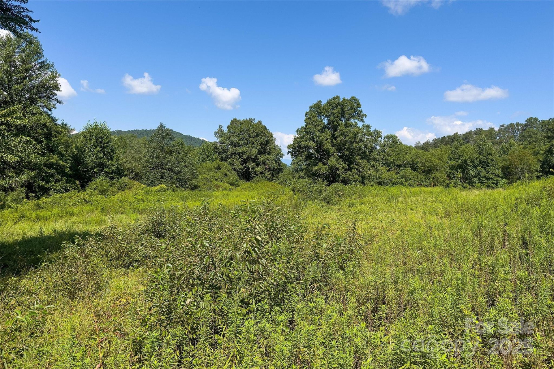 415 Reel Hollow Road - Photo 41