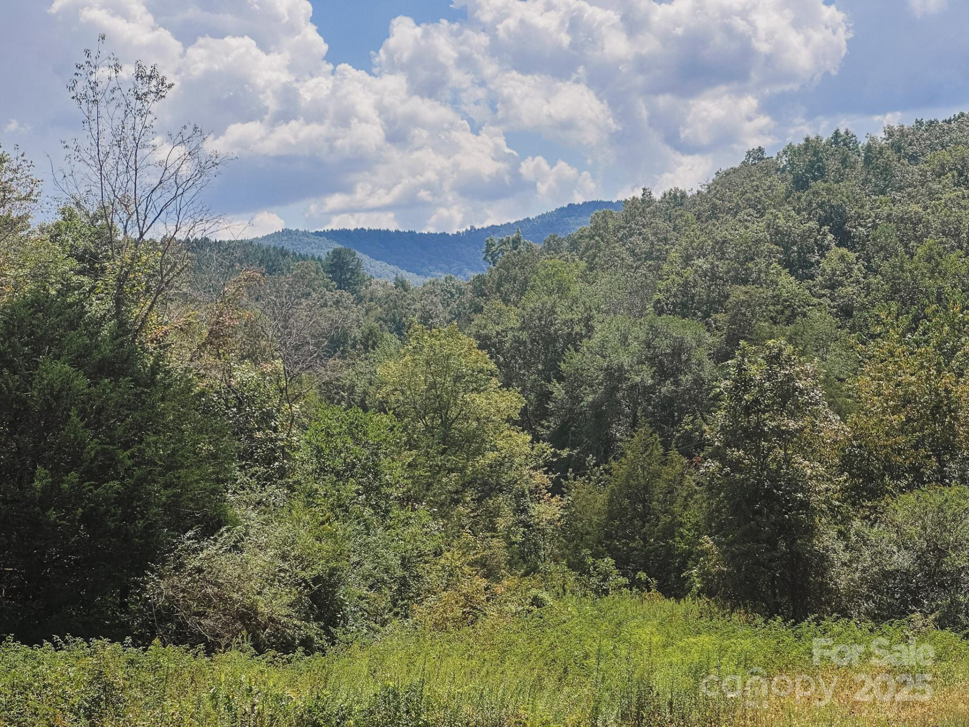 415 Reel Hollow Road - Photo 42