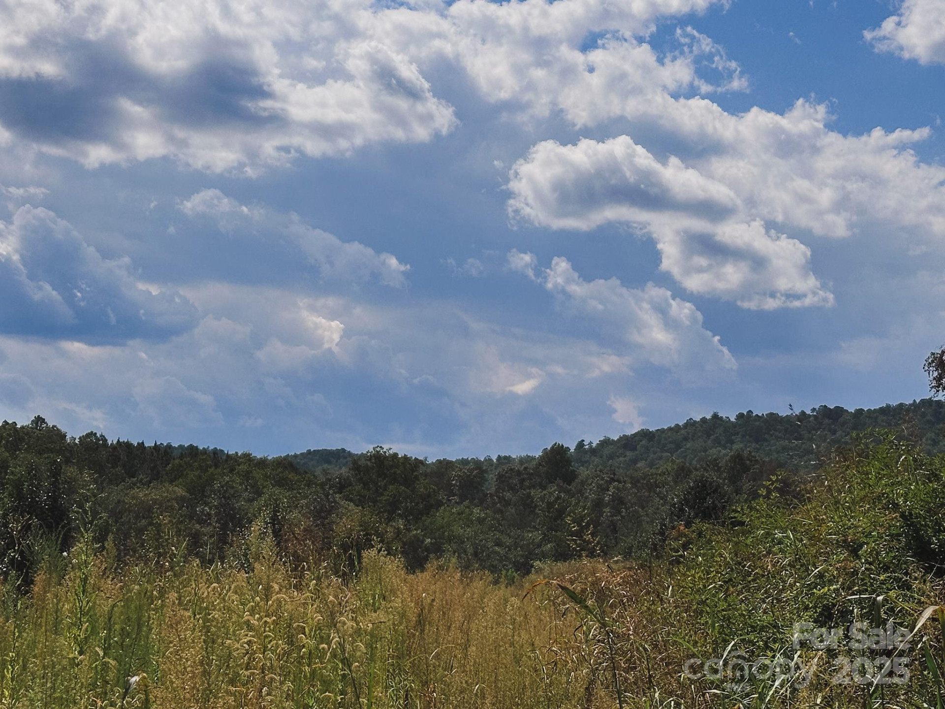 415 Reel Hollow Road - Photo 43