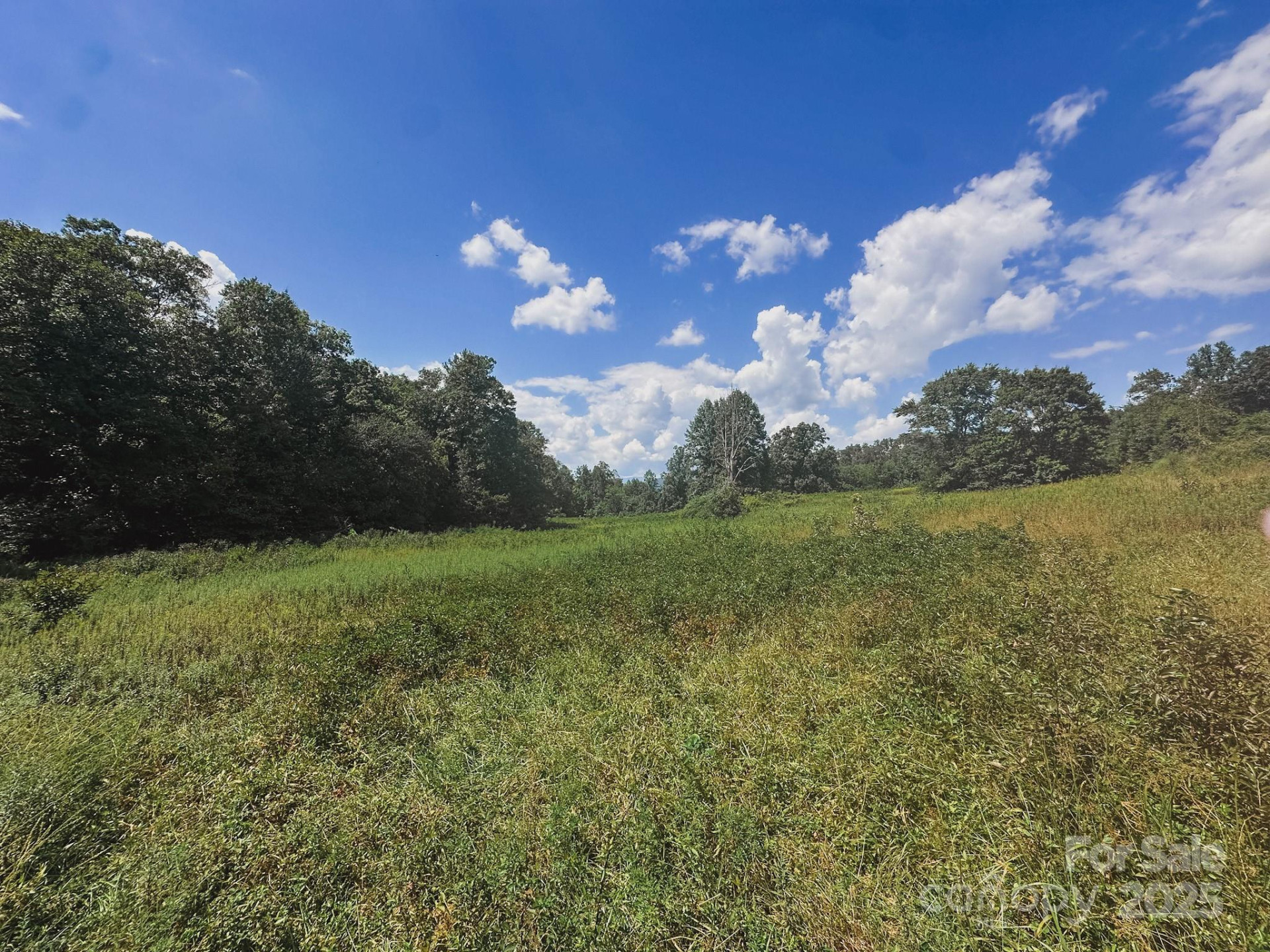 415 Reel Hollow Road - Photo 44