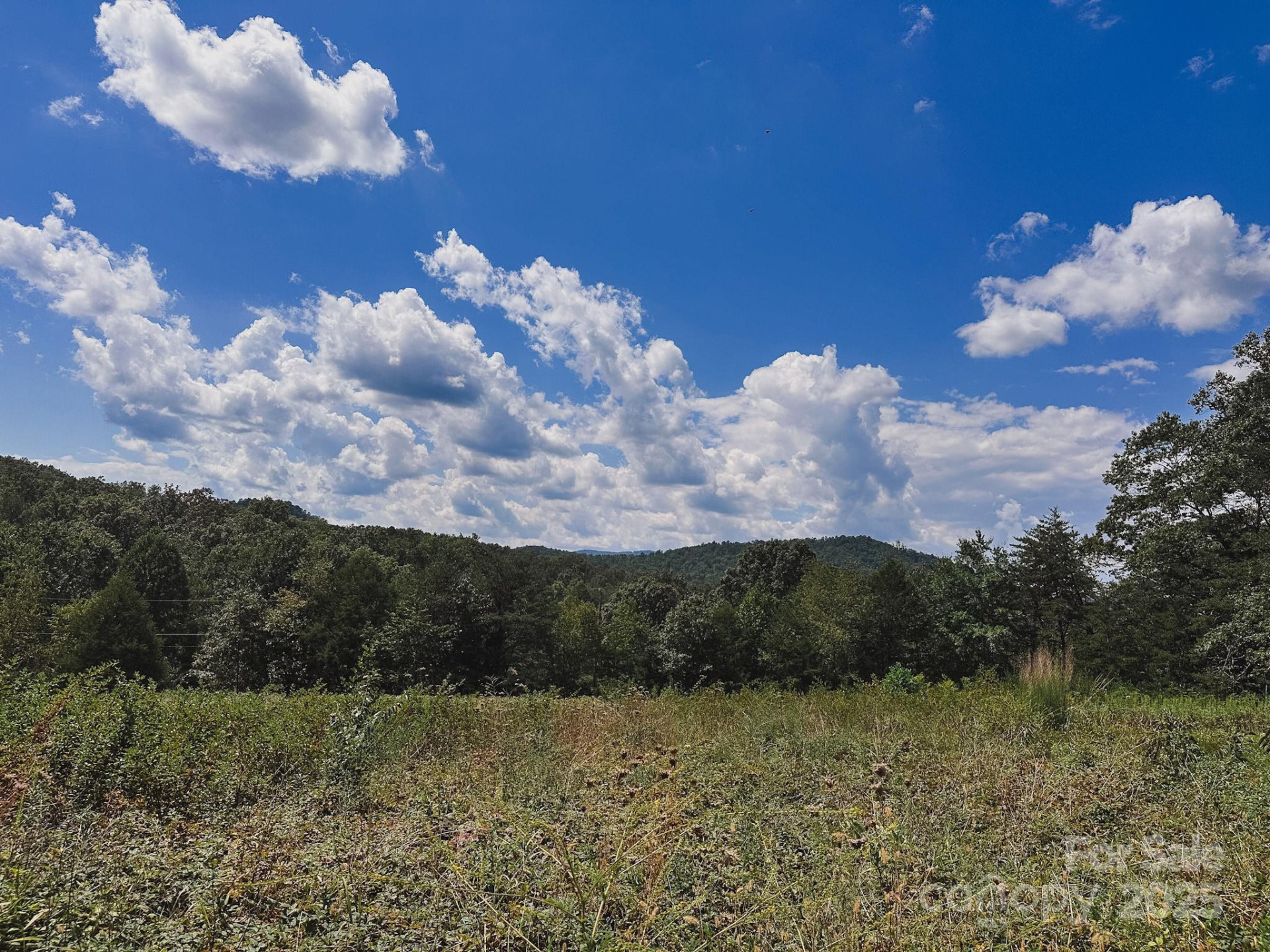 415 Reel Hollow Road - Photo 45