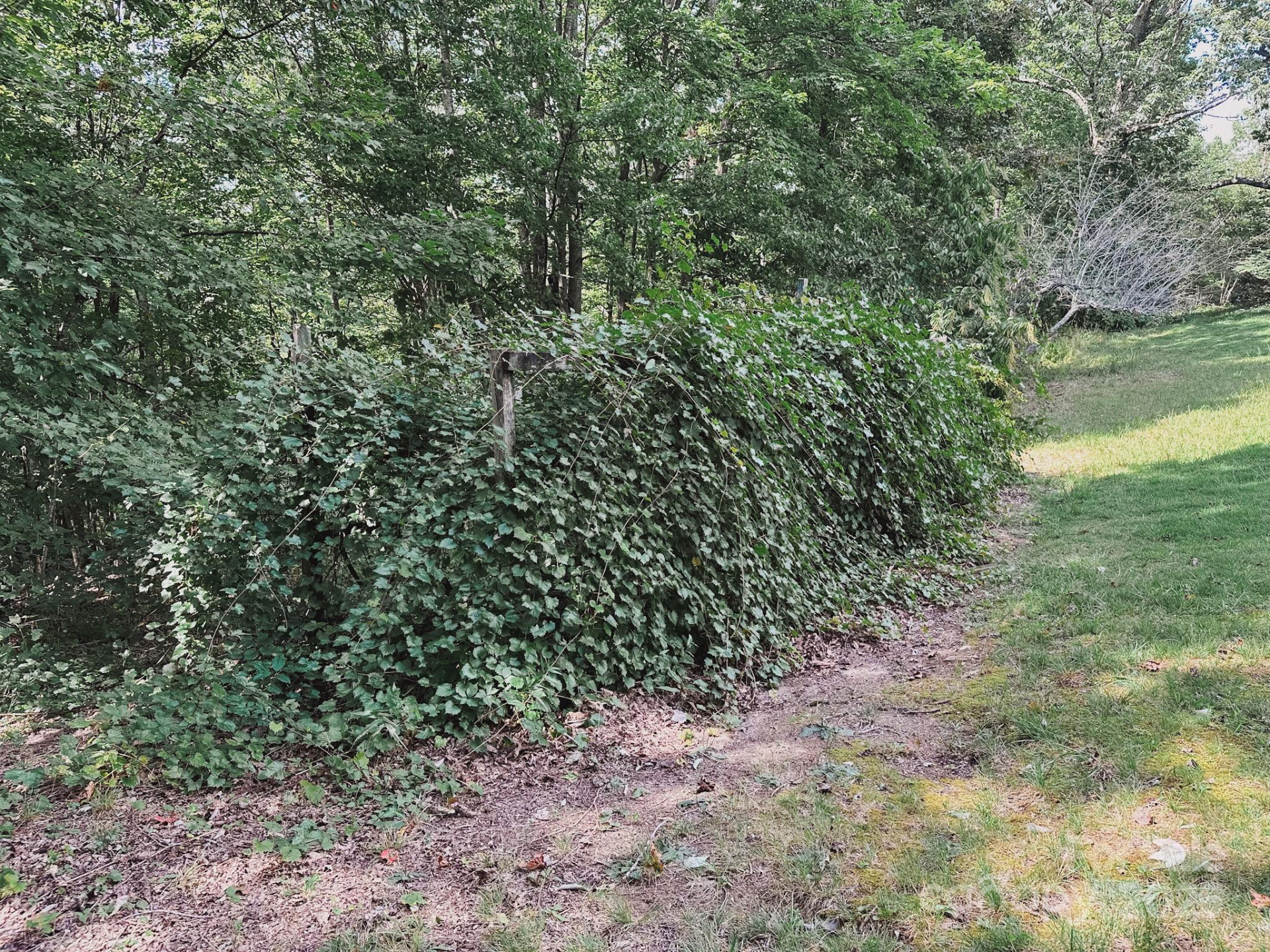 415 Reel Hollow Road - Photo 46