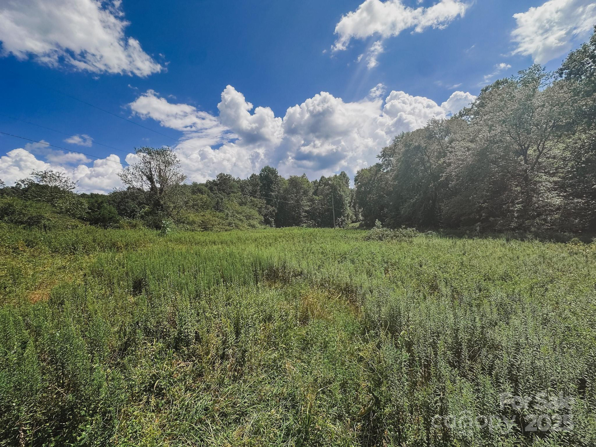 415 Reel Hollow Road - Photo 47