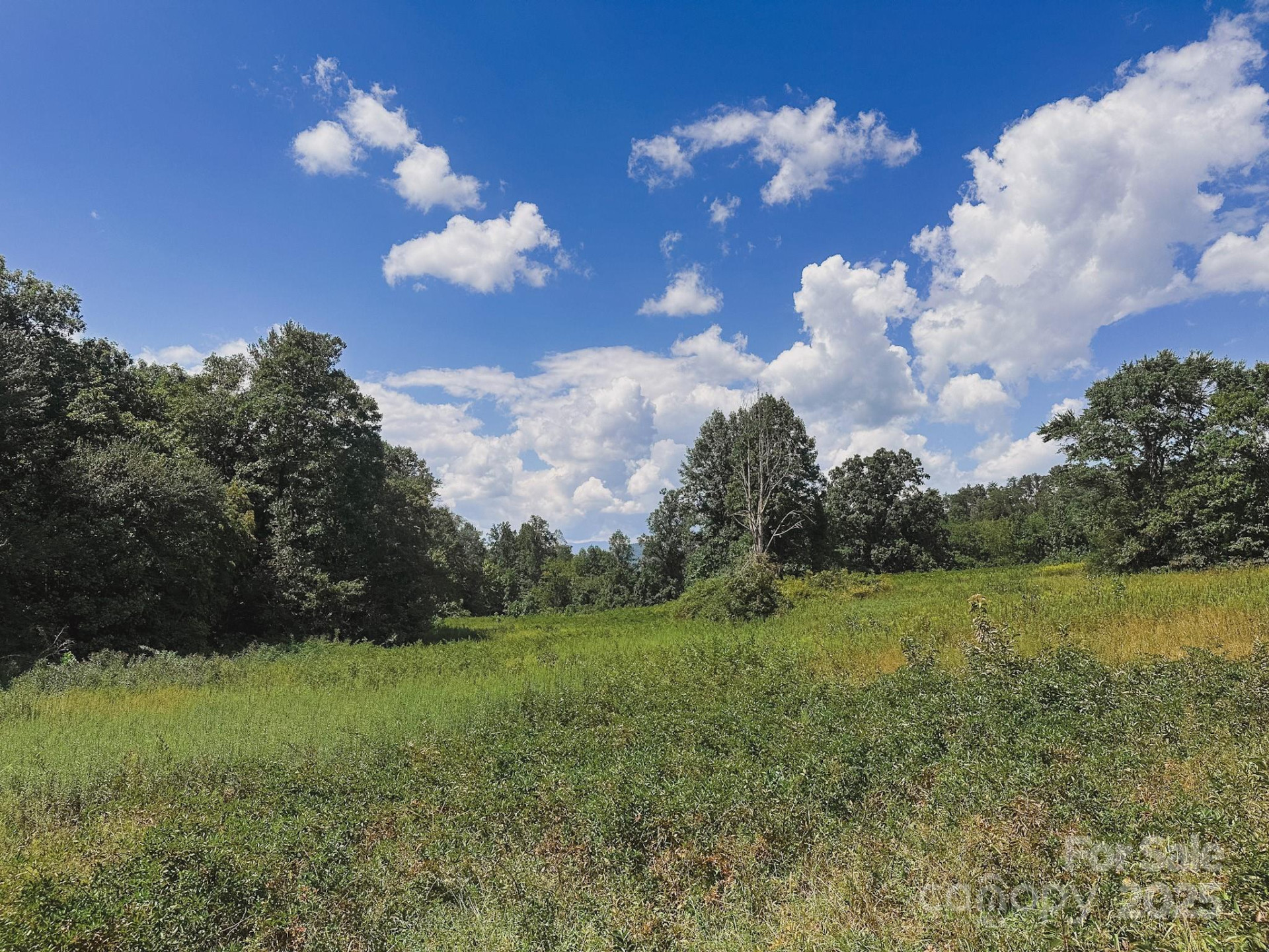 415 Reel Hollow Road - Photo 48