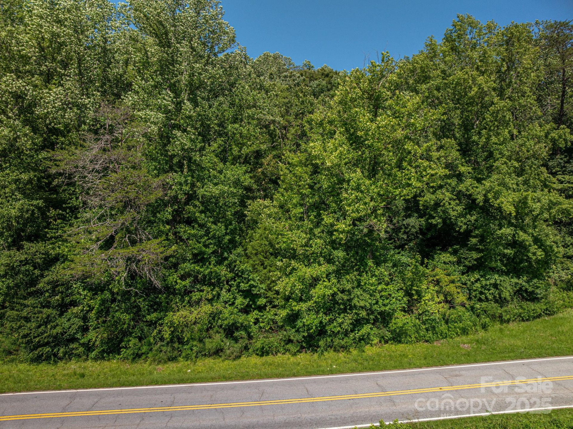 Lot 160 Coxe Road - Photo 7