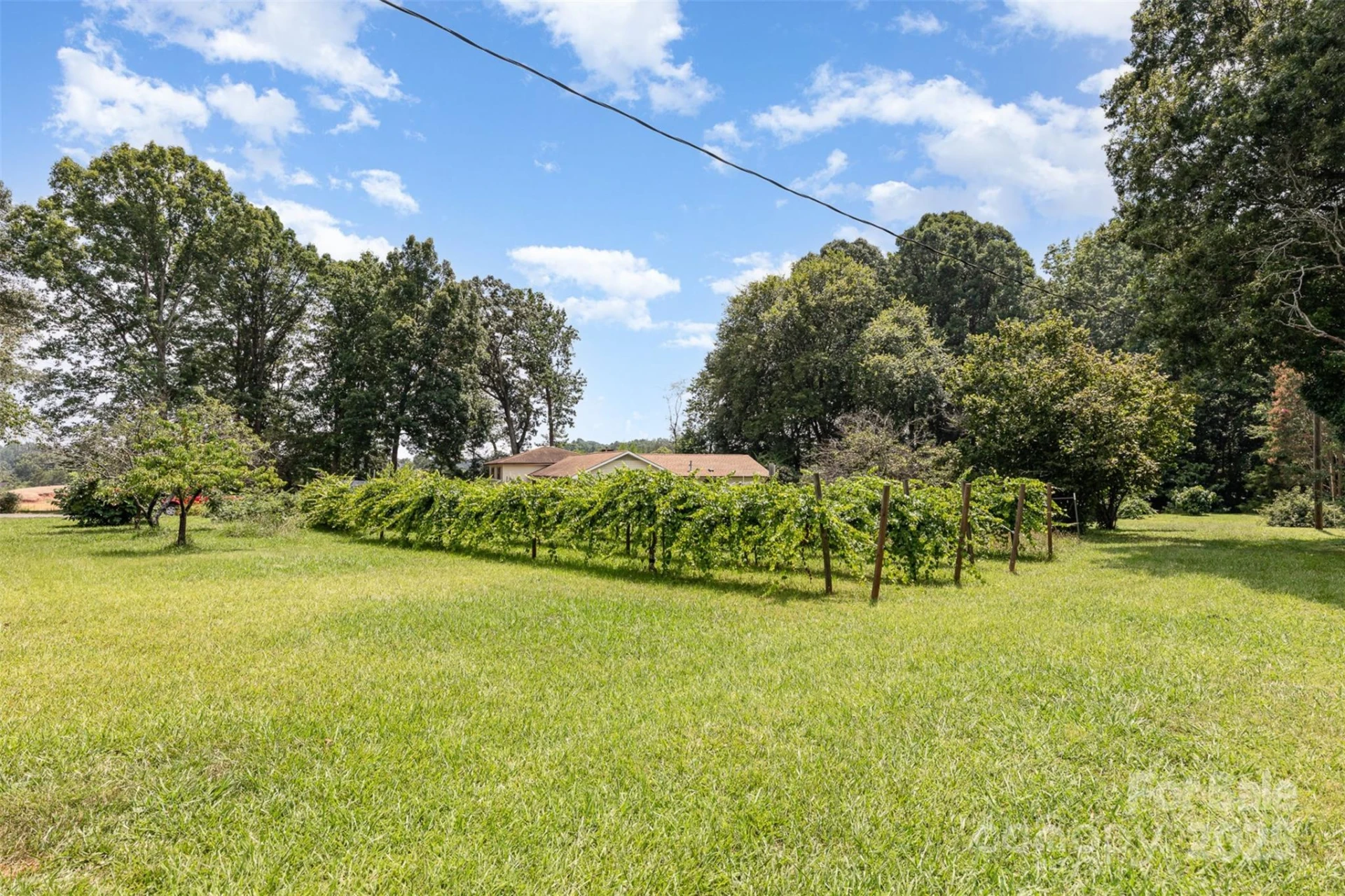 9825 Hagers Road - Photo 30