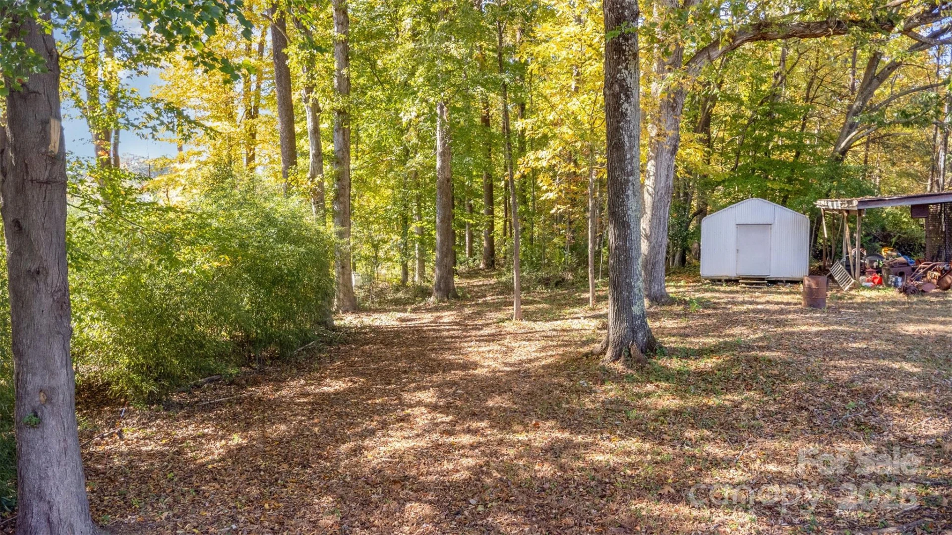 9825 Hagers Road - Photo 36