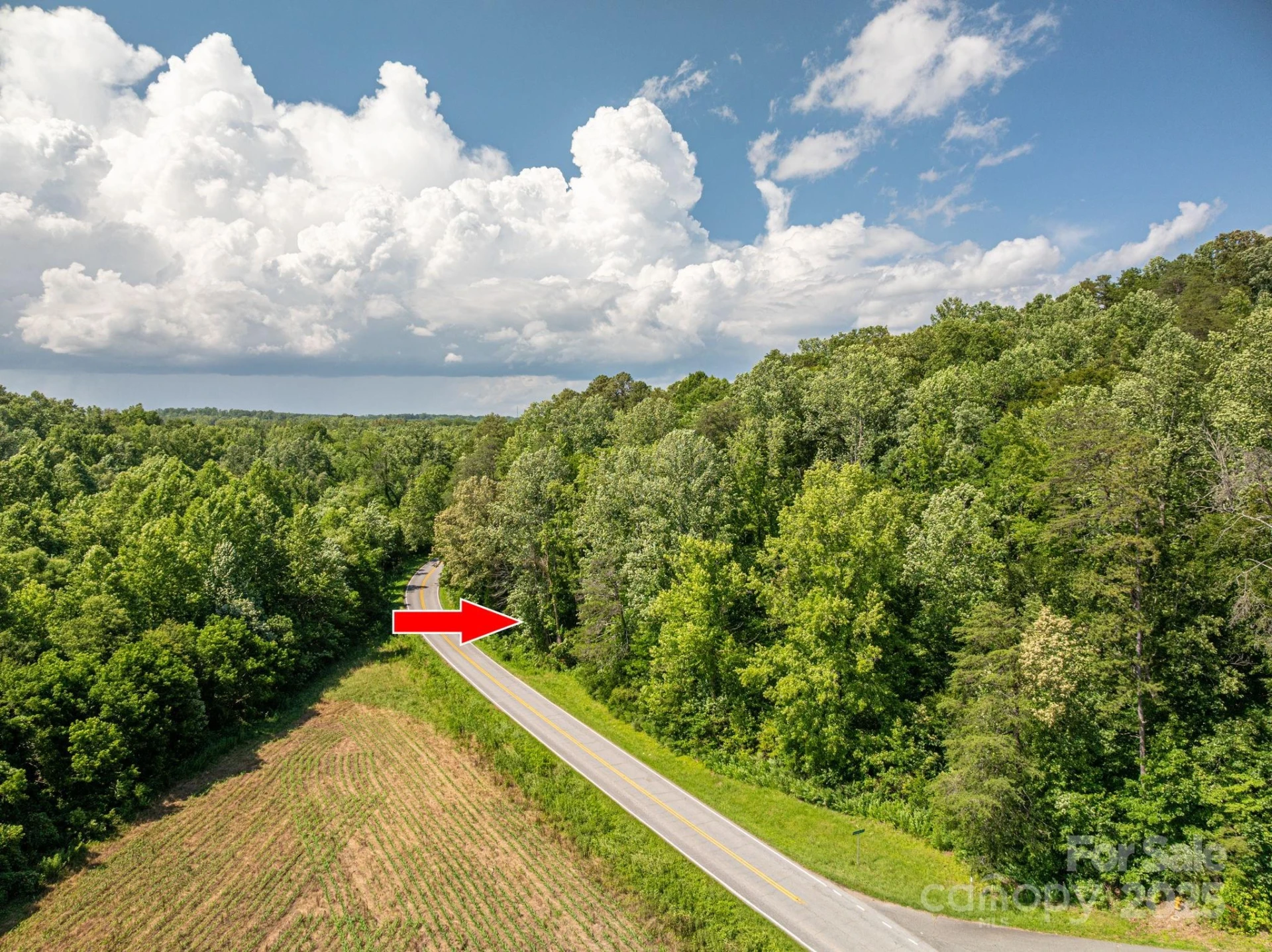 Lot 161 Coxe Road