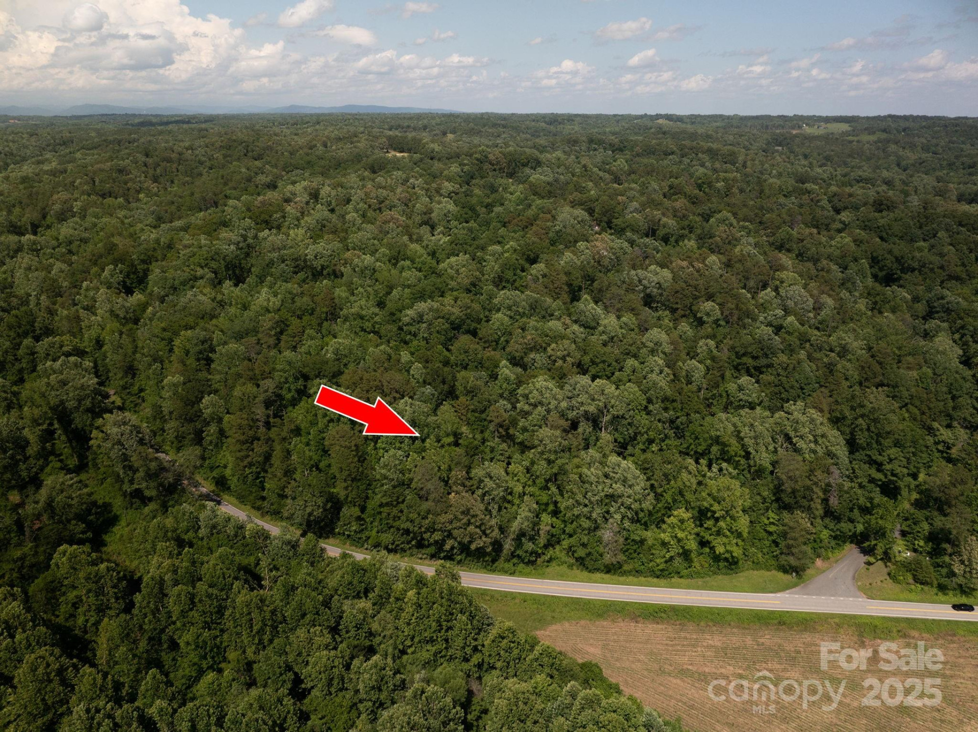 Lot 161 Coxe Road - Photo 3