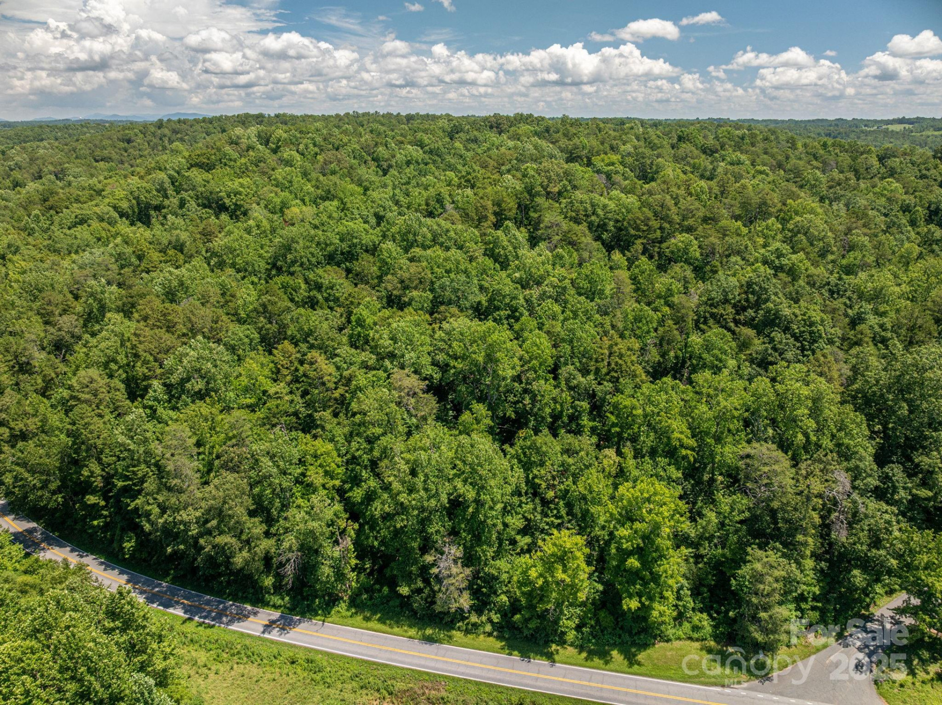 Lot 161 Coxe Road - Photo 4