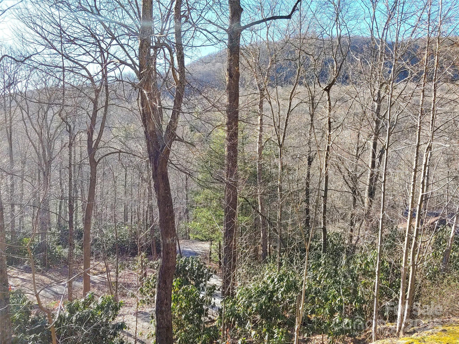 48 Buck Ridge Road - Photo 31