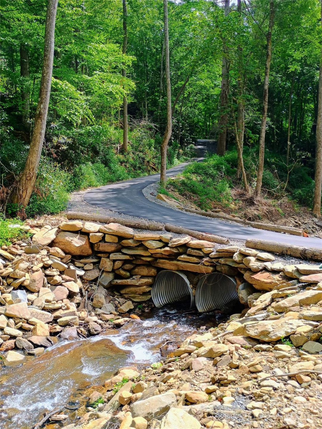 48 Buck Ridge Road - Photo 38