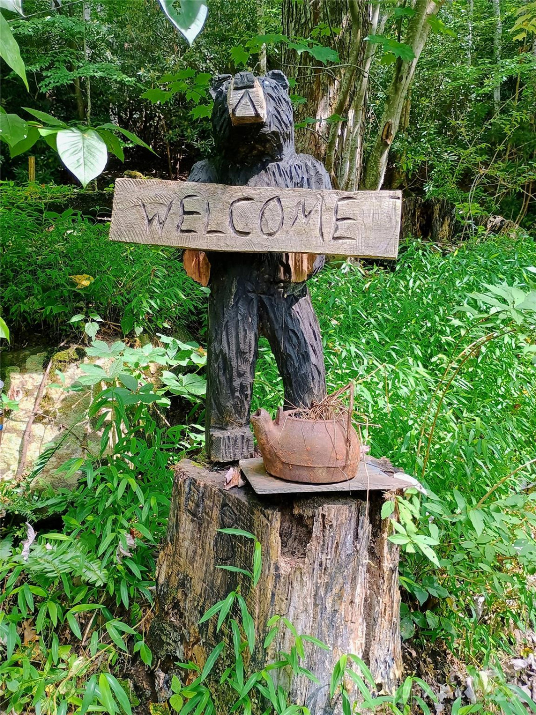 48 Buck Ridge Road - Photo 39