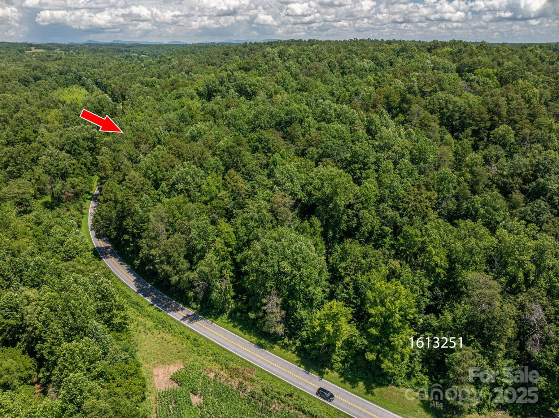 Lot 163 Coxe Road - Photo 5