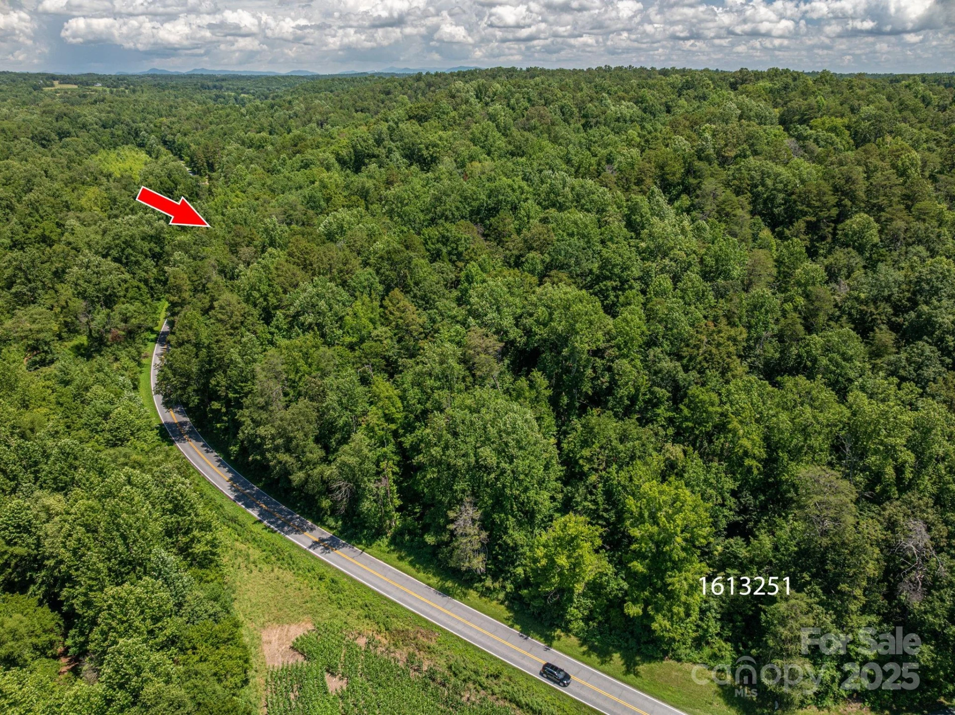 Lot 163 Coxe Road - Photo 5