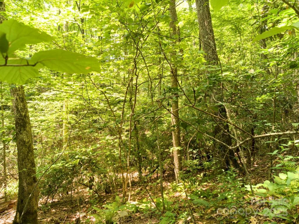 Lot 64 Hawks Nest Drive - Photo 12
