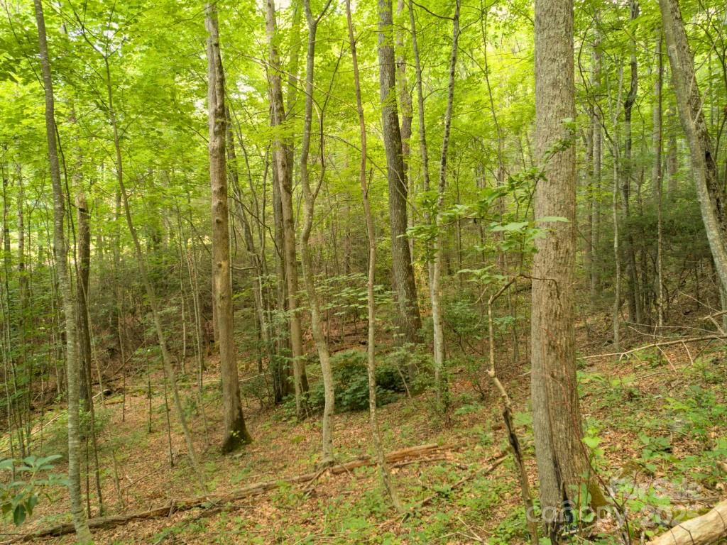 Lot 64 Hawks Nest Drive - Photo 13