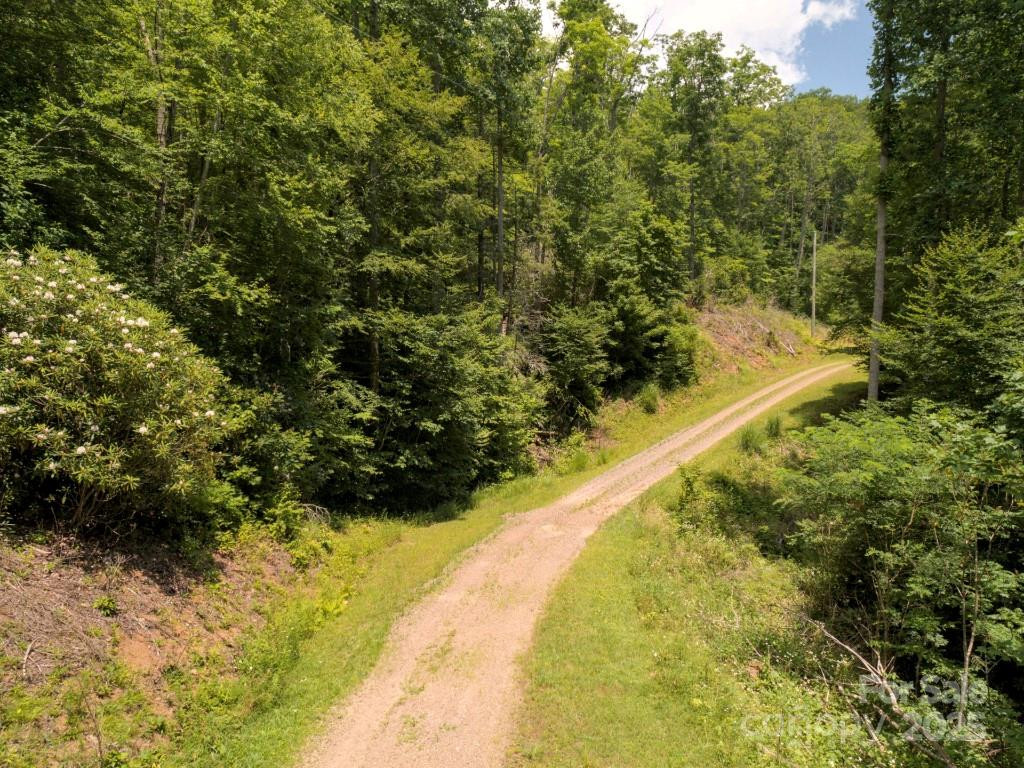 Lot 64 Hawks Nest Drive - Photo 14