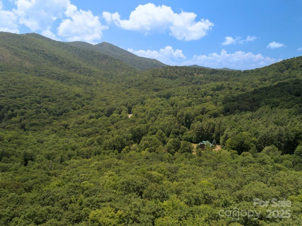 Lot 64 Hawks Nest Drive - Photo 5