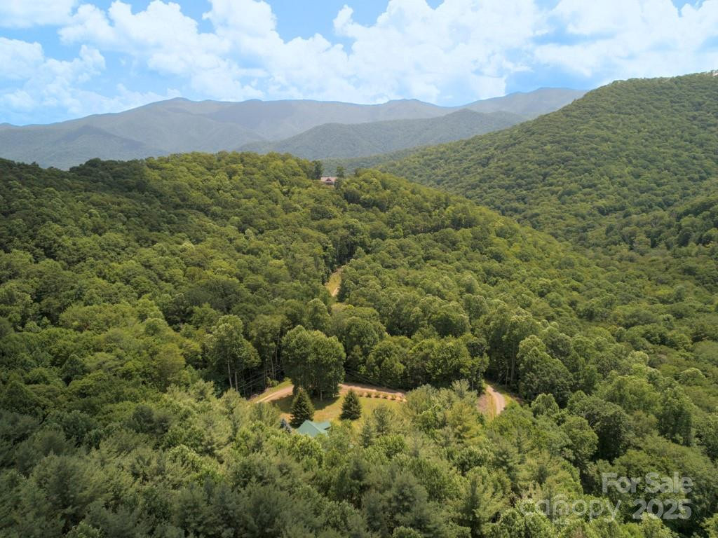 Lot 64 Hawks Nest Drive - Photo 6