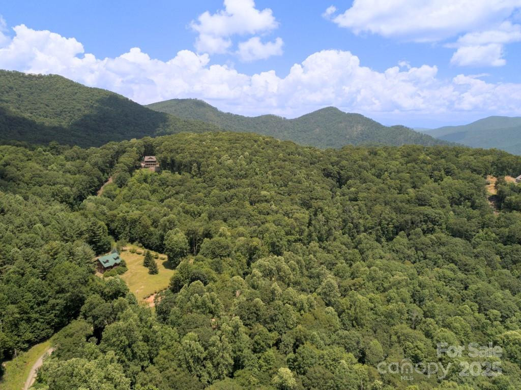 Lot 64 Hawks Nest Drive - Photo 8