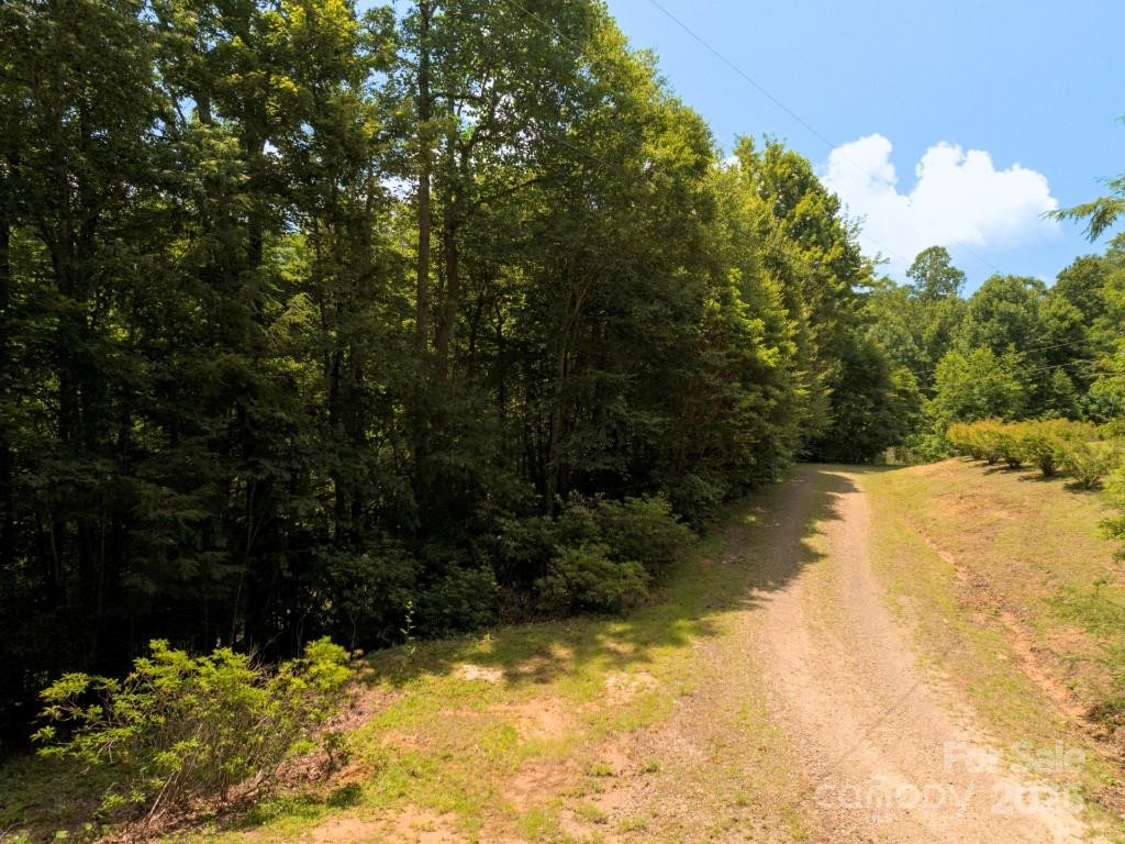 Lot 64 Hawks Nest Drive - Photo 10