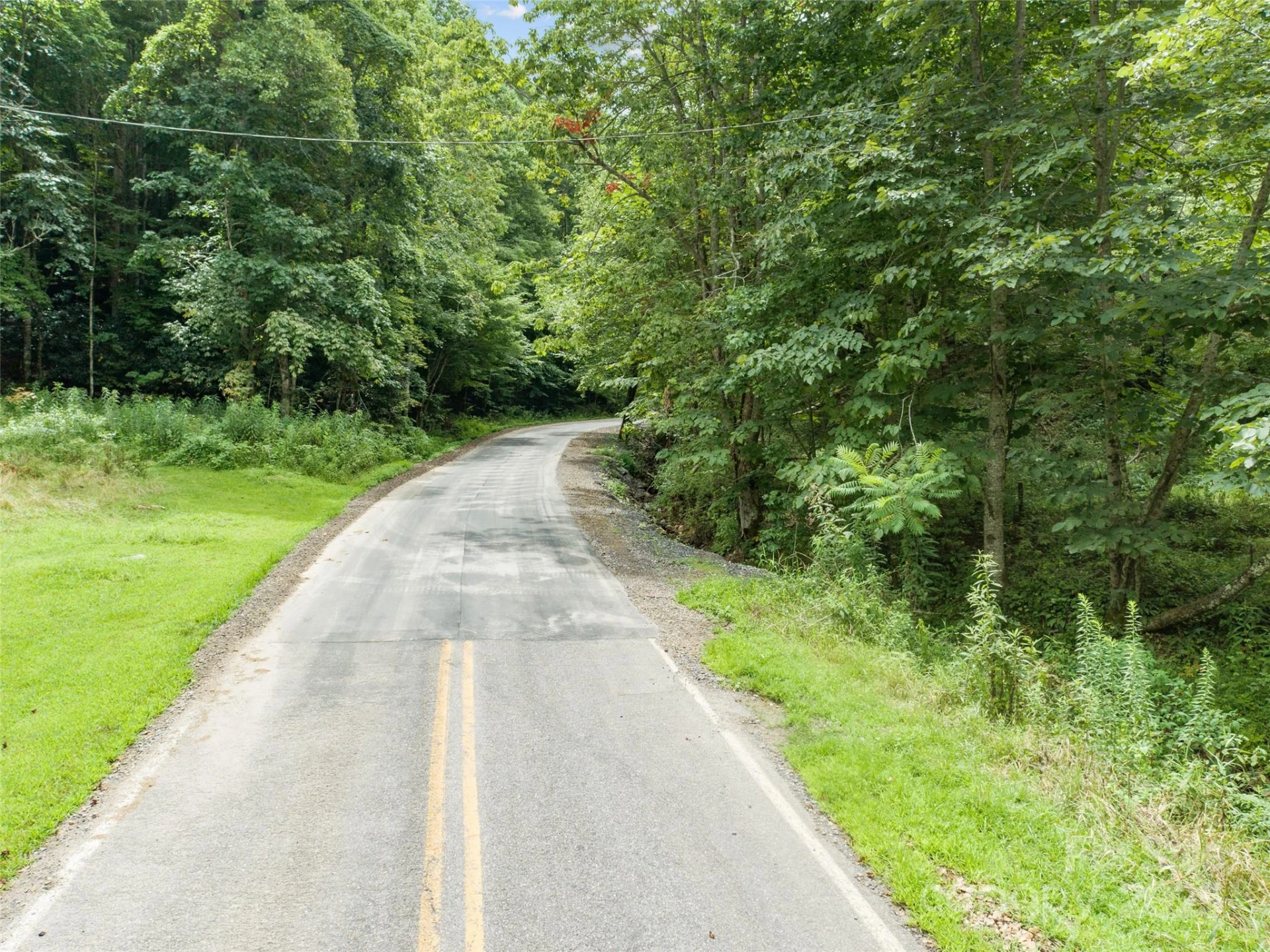 0000 Bee Log Road - Photo 2