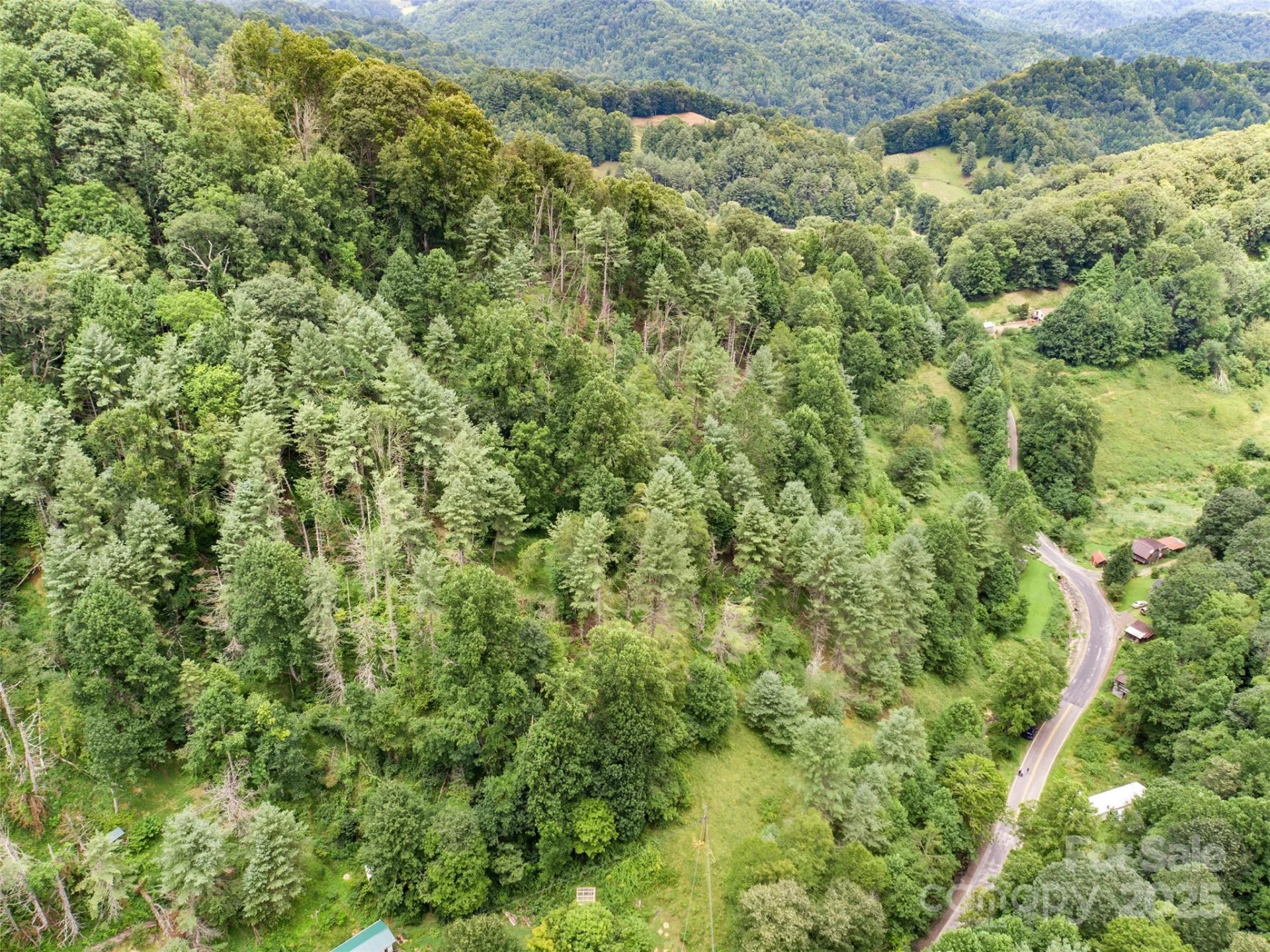 0000 Bee Log Road - Photo 4