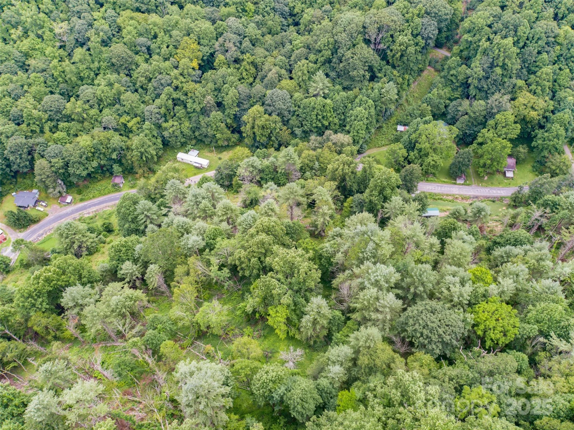 0000 Bee Log Road - Photo 5
