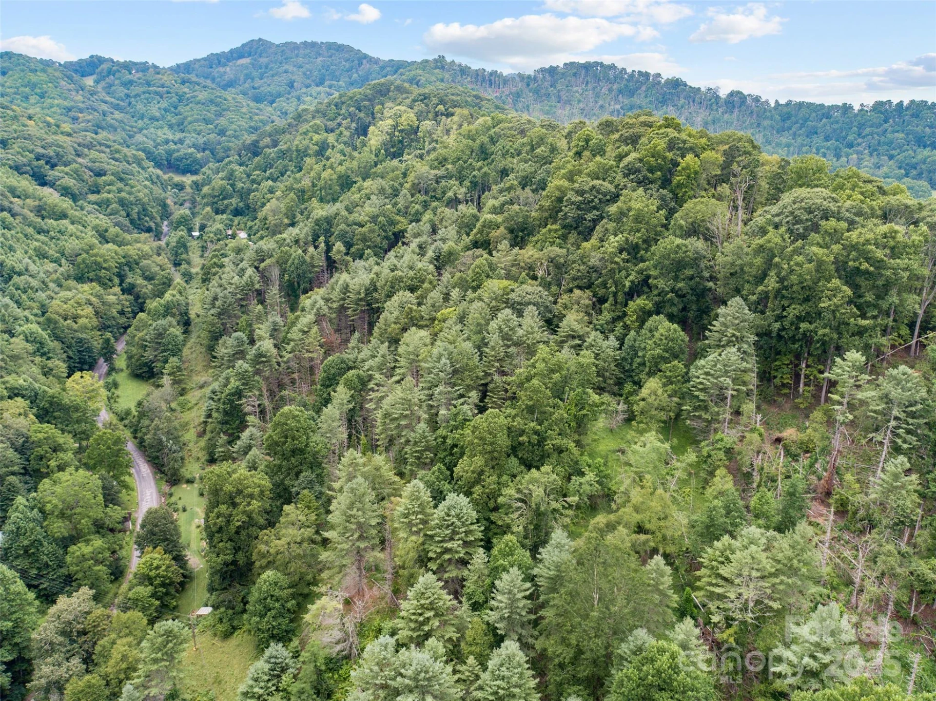0000 Bee Log Road - Photo 6