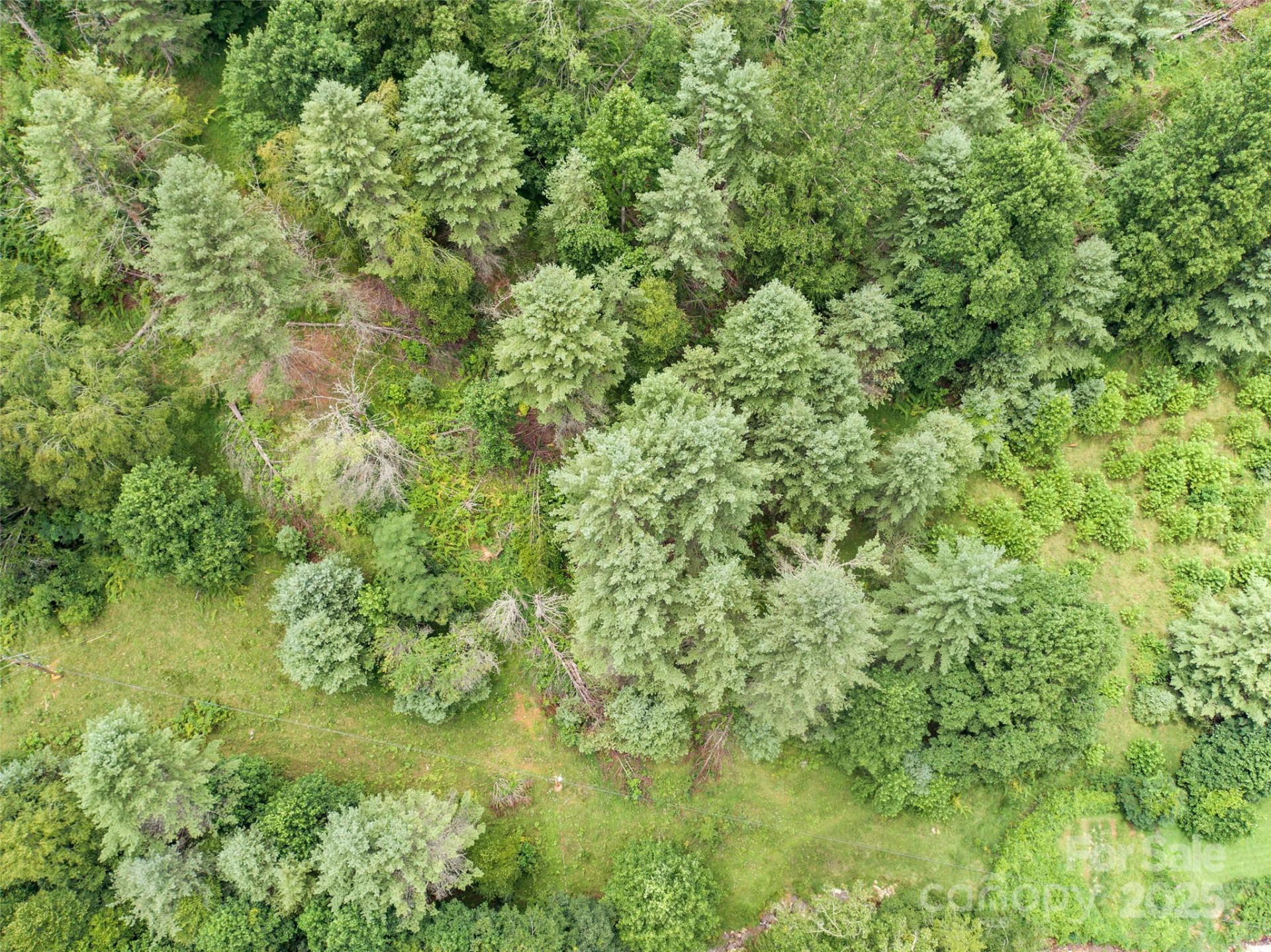 0000 Bee Log Road - Photo 8