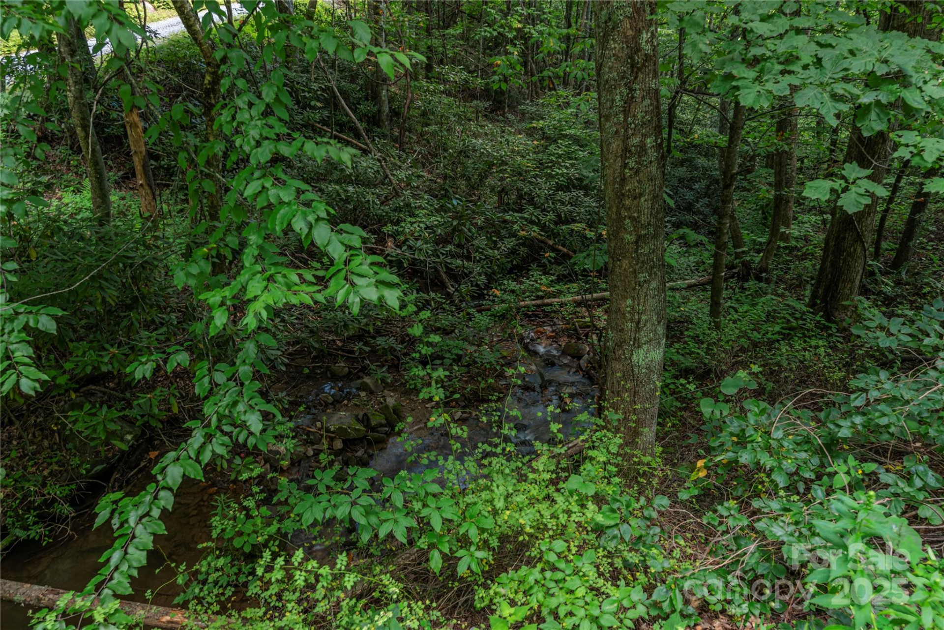 97 Hughes Drive - Photo 47