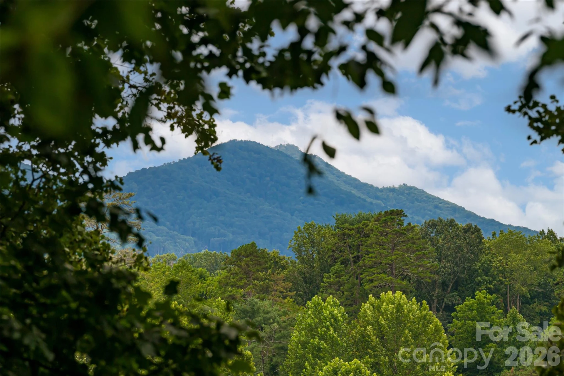7 Bee Balm Way - Photo 7